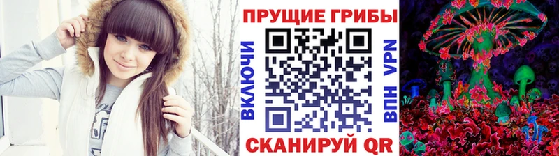 Псилоцибиновые грибы мухоморы  даркнет сайт  МЕГА рабочий сайт  Зея 